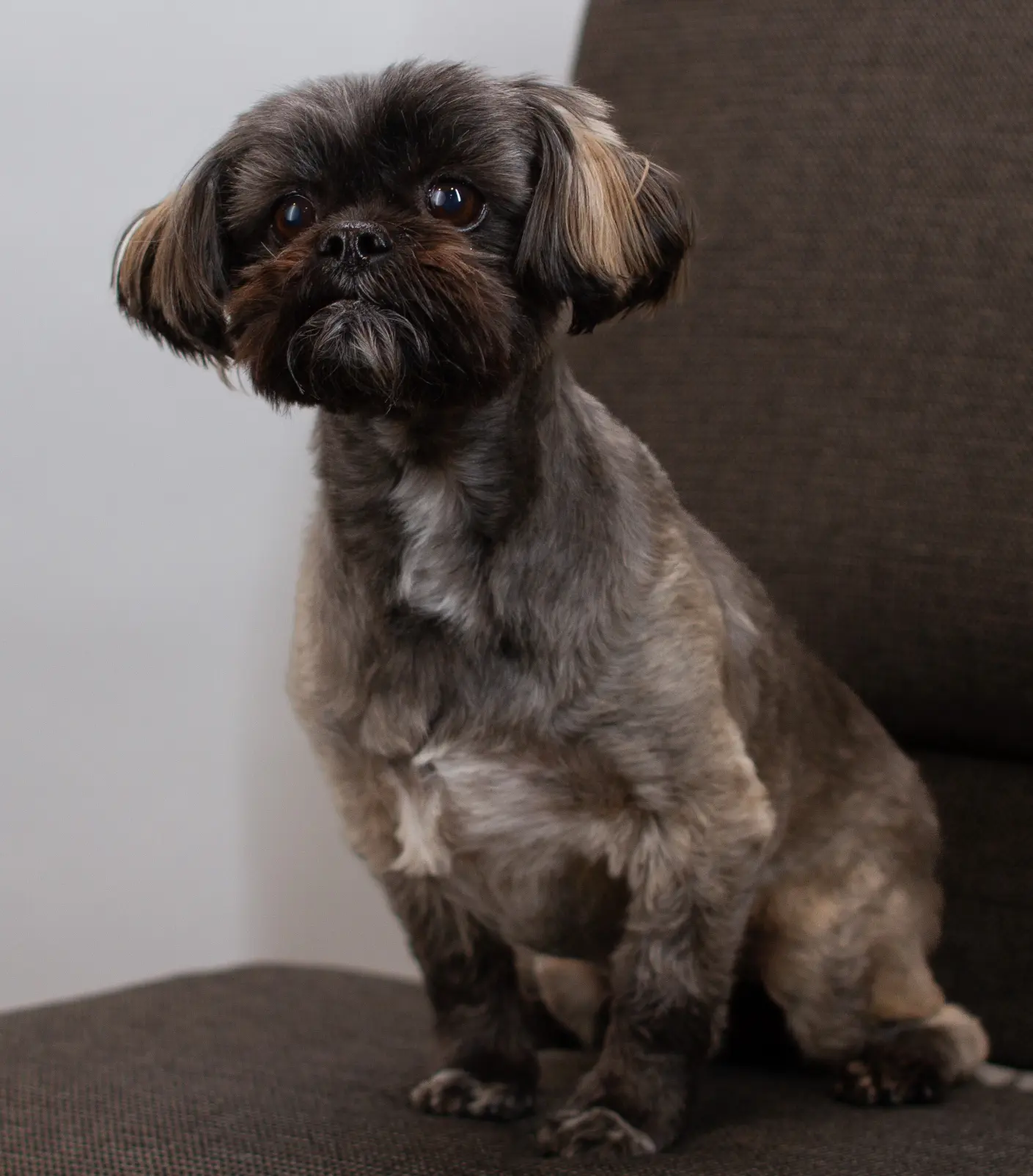 Finley Xavier - Door Greeter at Balance Wellspace